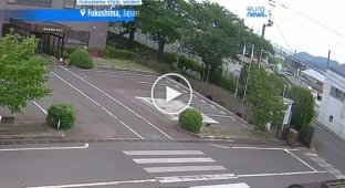 Напад ведмедя в житловому районі Японії: четверо людей отримали поранення