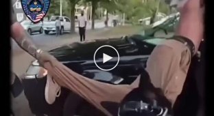 Мужчину в Алабаме укусила полицейская собака — он укусил ее в ответ