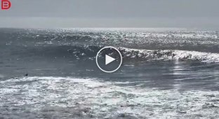A giant wave capsized a boat with a family