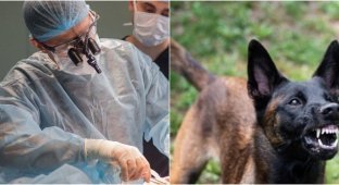 In Russia, an operation was carried out to save the face of a child mutilated by a dog (5 photos)