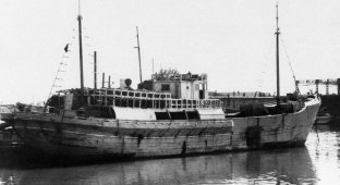 Accidental victim of atomic weapons. The last voyage of the schooner "Fukuryu-maru" (5 photos)