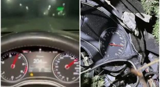 В столб на скорости 220 км/ч (4 фото + 2 видео)