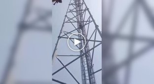 A worker fell from a communication tower in India and fell down a ladder