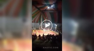 Акробатка в цирке