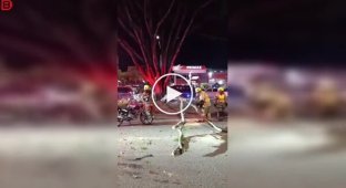 A simple tree felling resulted in bruises for a firefighter