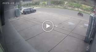 Он явно такого не ожидал
