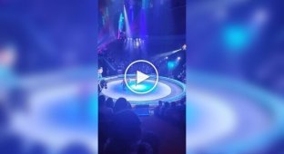 An acrobat broke his leg after falling from a horse at a circus.