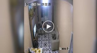 Uninvited guests in the house, and not even the presence of children stopped them. Brazil.