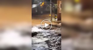 Бразильцы сняли плывущие по улицам города гробы