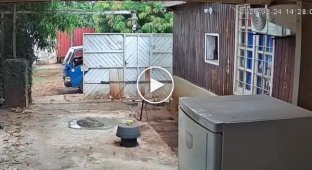 Последний рабочий день парагвайца