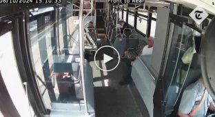 Deer crashed through bus windshield