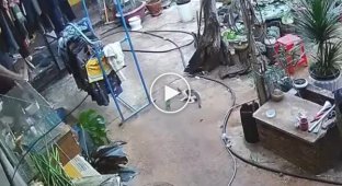 Bad aim