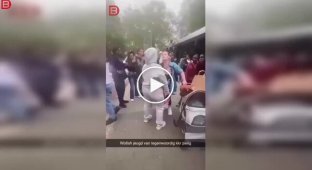 В Роттердаме молодые люди пристали к женщине с коляской для собаки