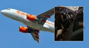 Испанка назвала британцев дикими животными и поделилась кадрами их поведения на борту (4 фото + 1 видео)