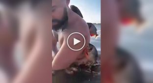 Пираньи атаковали мужчину