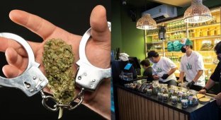 The experiment failed: in Thailand cannabis will be put back on the list of prohibited substances (4 photos)