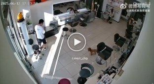 Невдала спроба відремонтувати фен