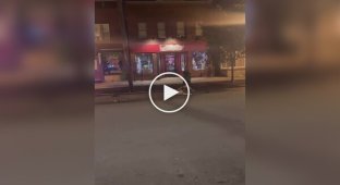 Что крепче - идиот или автомобиль