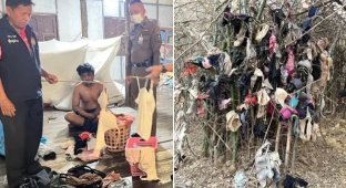 Masturbation tree: a man stole and used more than fifty underwear in Thailand (3 photos + 1 video)