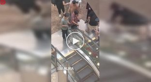 Эскалатор экстренно отключили после того, как собака застряла хвостом