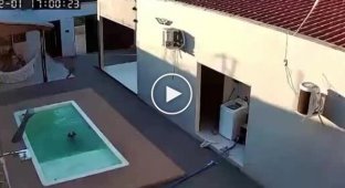 A father heroically saved two drowning children