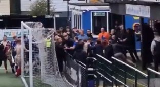 Британские футболисты подрались с болельщиками (4 фото + 1 видео)