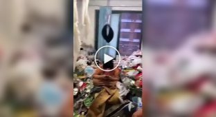 In China, a girl in a rented apartment did not throw out trash for a whole year.