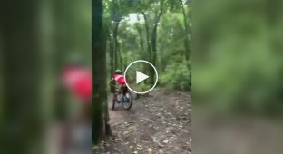 На передньому колесі в дерево