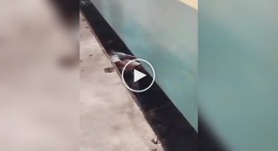 In Bangladesh, a father jumped in front of a train to save his child who had fallen onto the tracks.