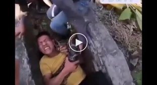 Curious tourists almost became victims of pythons in Vietnam