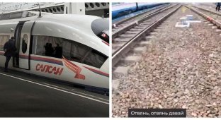 With the wind: a 17-year-old Russian clung to a Sapsan and sped off to St. Petersburg at a speed of 250 km/h (2 photos + 1 video)