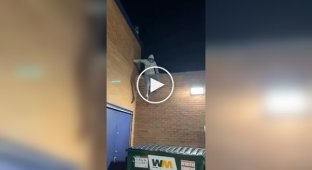 Roof jump into a dumpster didn't go as planned.