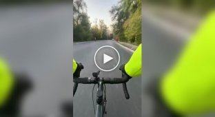 A cyclist collided with a tractor at high speed