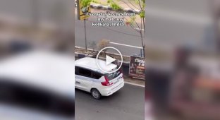 В Индии мужчина бросался камнями в автомобили — задержание переросло в жесткий инцидент
