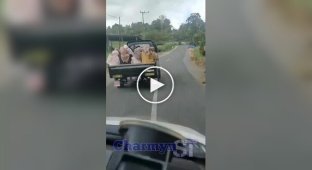 Пикап с женщинами перевернулся на повороте