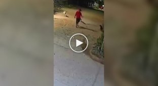 A man fought off a pack of dogs in an unusual way