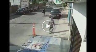 Бык выпал из кузова грузовика и устроил настоящий погром на улице в Мексике