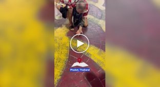 A girl brushed a cockroach off a stranger, but the man did not appreciate her act