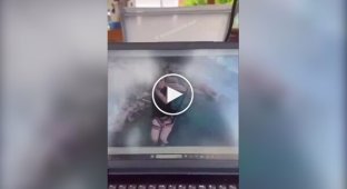 Relatives of the deceased girl try to understand why she unfastened her gear