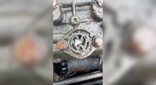 Масло сливают через заливную горловину