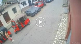 Кармагеддон из Гондураса