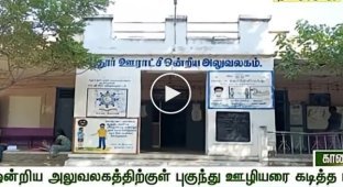 Змія випала з шафи в будівлі сільської адміністрації в Індії і вкусила клерка