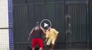 Драка хозяев и их питомцев