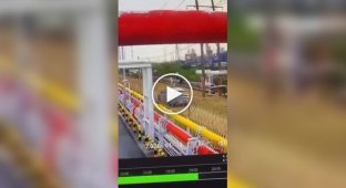 Ловец игуан оставил без света три нефтехимических завода