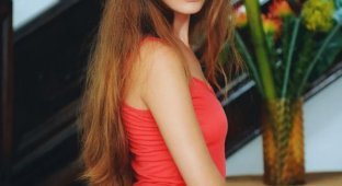 Софи Шейн - Девушка Дня