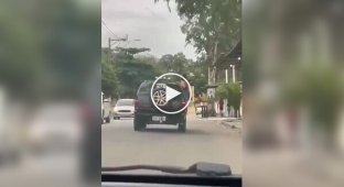 Недолго музыка играла