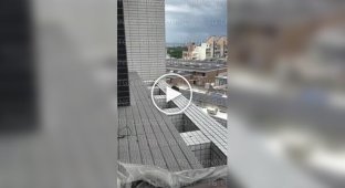 У Китаї депресивний щур публічно покінчив із собою