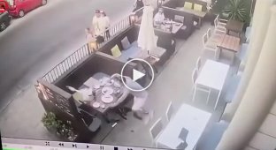 Seagull picks the wrong person to steal food from