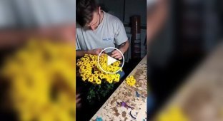 Неожиданное искусство