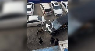 Китаец бился головой о машину до потери сознания
